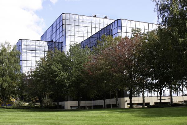 Commercial Tree Trimming in Montgomery