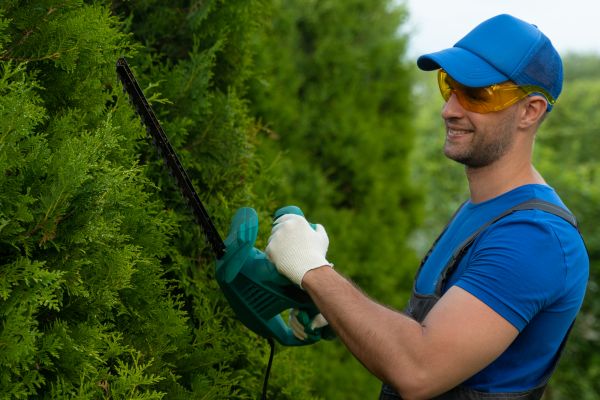 Tree Shaping Service in Montgomery