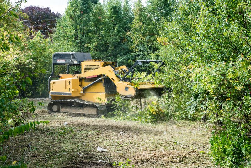 Tree Trimming
