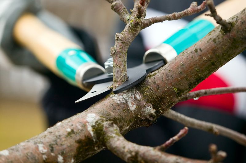 Branches Pruning