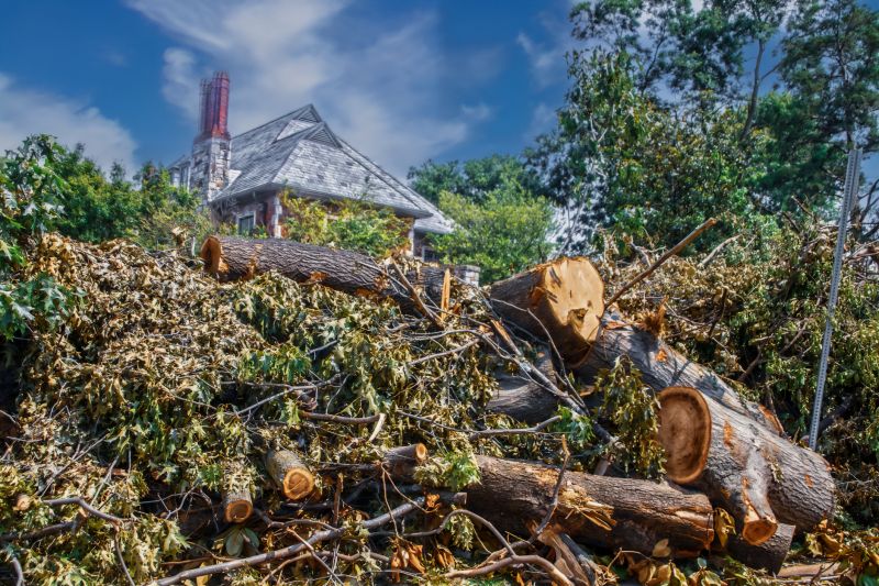 Deadwood Removal