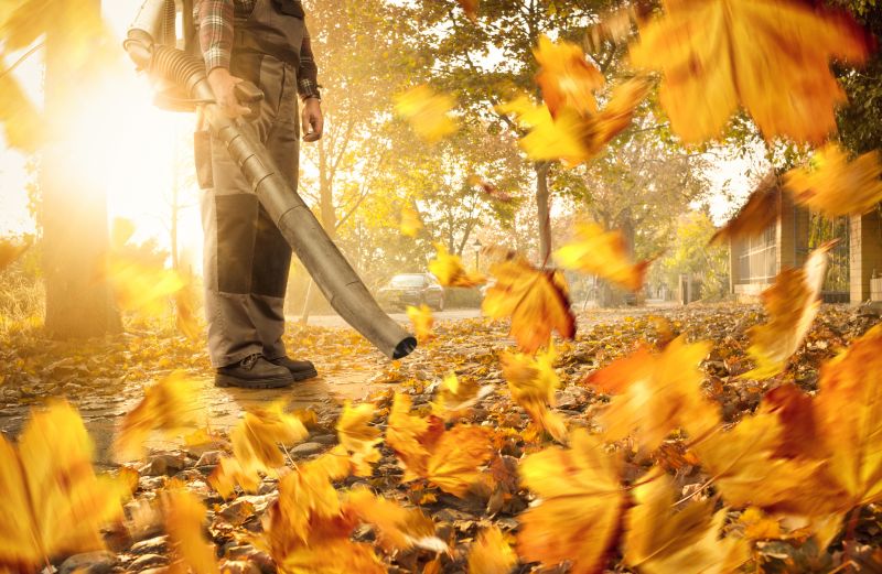 Leaf Removal Service