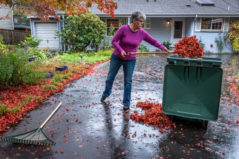 Yard Clean-Up