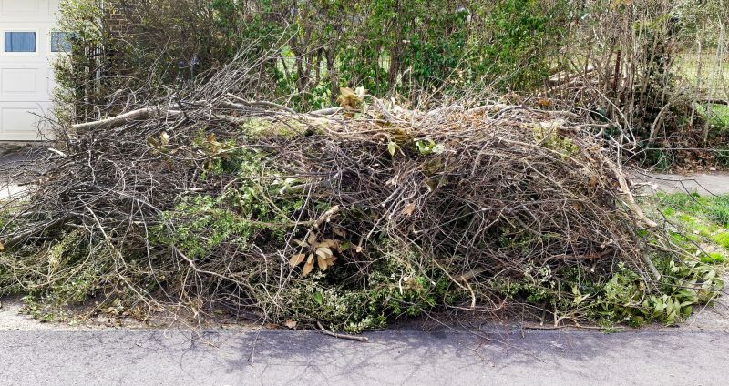 Tree Limbs Removal detail