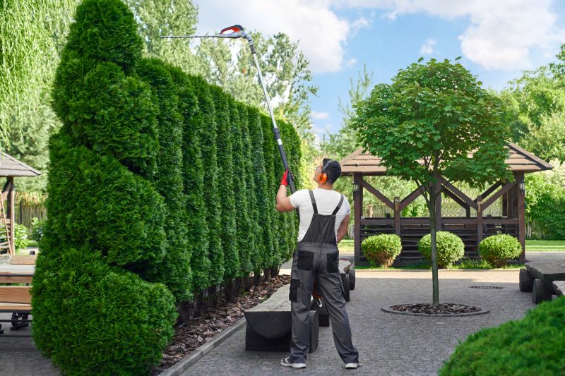 Peach Tree Trimming