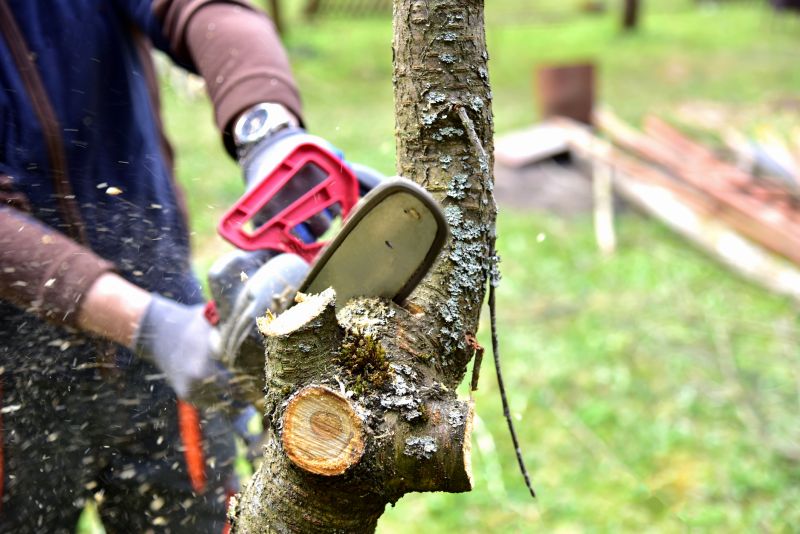 Tree Shearing