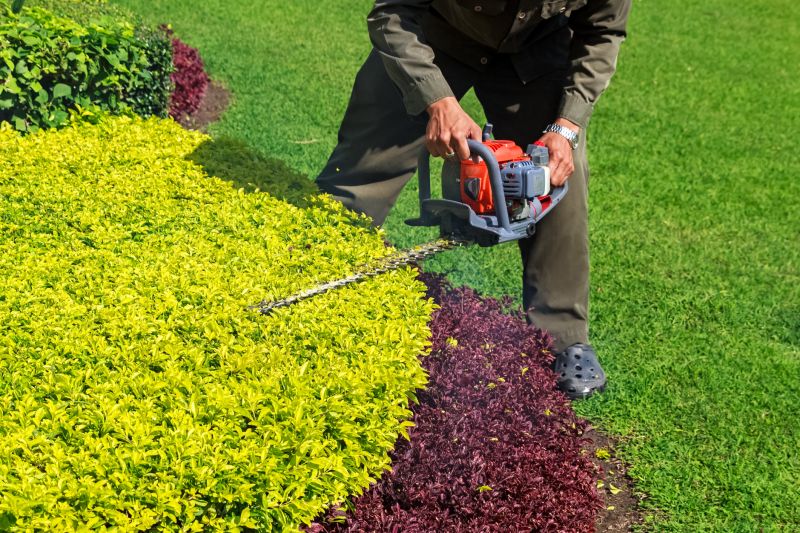 Hedge and Shrub Trimming