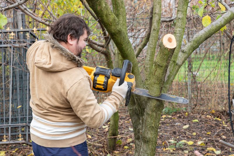 Tree Health Inspection