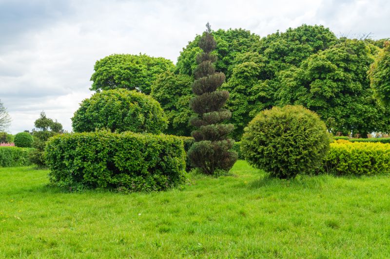 Aesthetic Tree Shaping