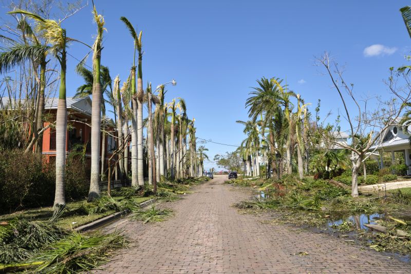 Storm Damage Prevention