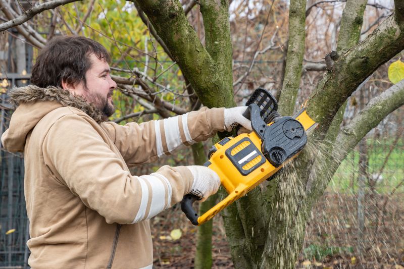 Seasonal Tree Trimming Tools