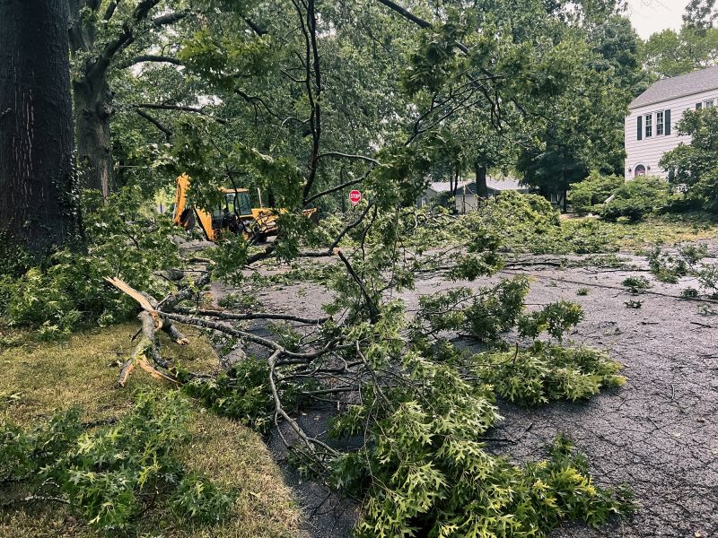 Emergency Tree Services
